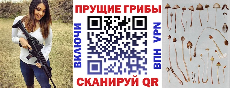 Псилоцибиновые грибы ЛСД  Хадыженск 