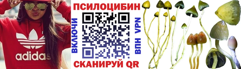 Псилоцибиновые грибы Psilocybine cubensis Хадыженск